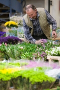 MIN RUNGIS-Fleurs-86